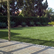 backyard sod & landscaping